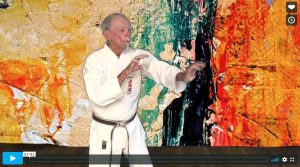 Best option to show a demo ,how to learn karate at home by taking online karate classes