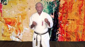 Online Martial Arts Classes