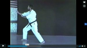 Online Martial arts classes is the most suitable way to learn karate online