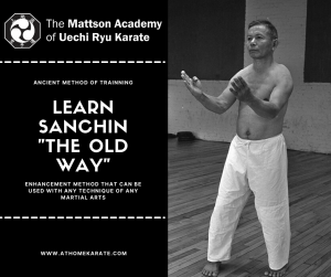 Learn Karate at home from Online Martial arts Classes