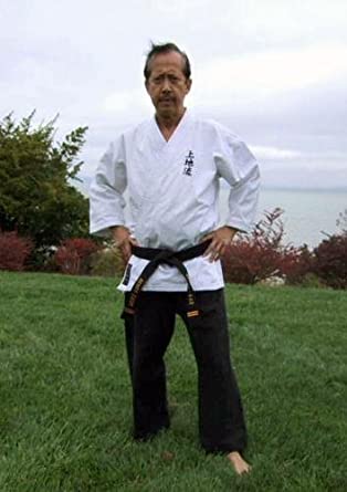 Learn Okinawan Karate from Online Martial arts classes