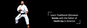 Online Martial arts classes teach u how to learn karate online