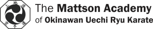 Mattson Academy the future of Online Karate Classes