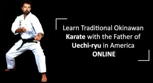 Online Martial arts classes.Learn karate at home