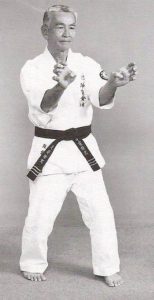 Take Online Martial arts classes and learn karate online