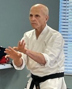 Learn through online martial arts classes