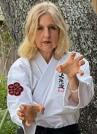 learn okinawan karate from online karate classes