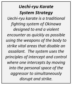 Learn Okinawan Karate online